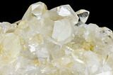 Quartz Crystal Cluster - Brazil #81011-2